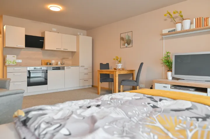 Wohnraum Ein-Raum-Wohnung